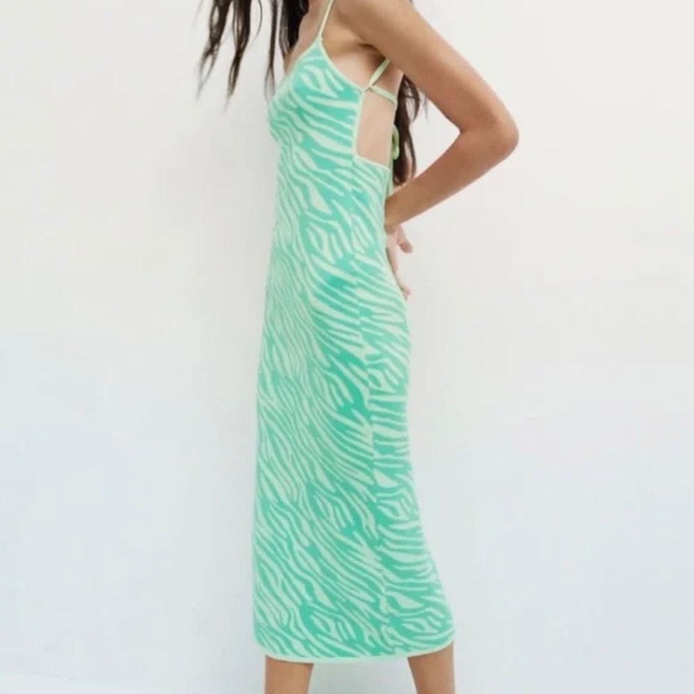 Zara Zebra Midi Dress